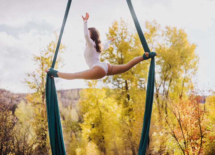 aerialist