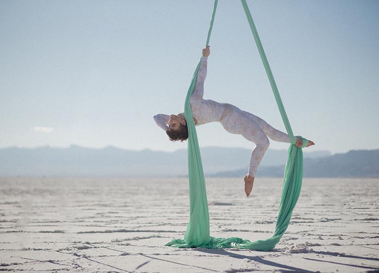 aerialist