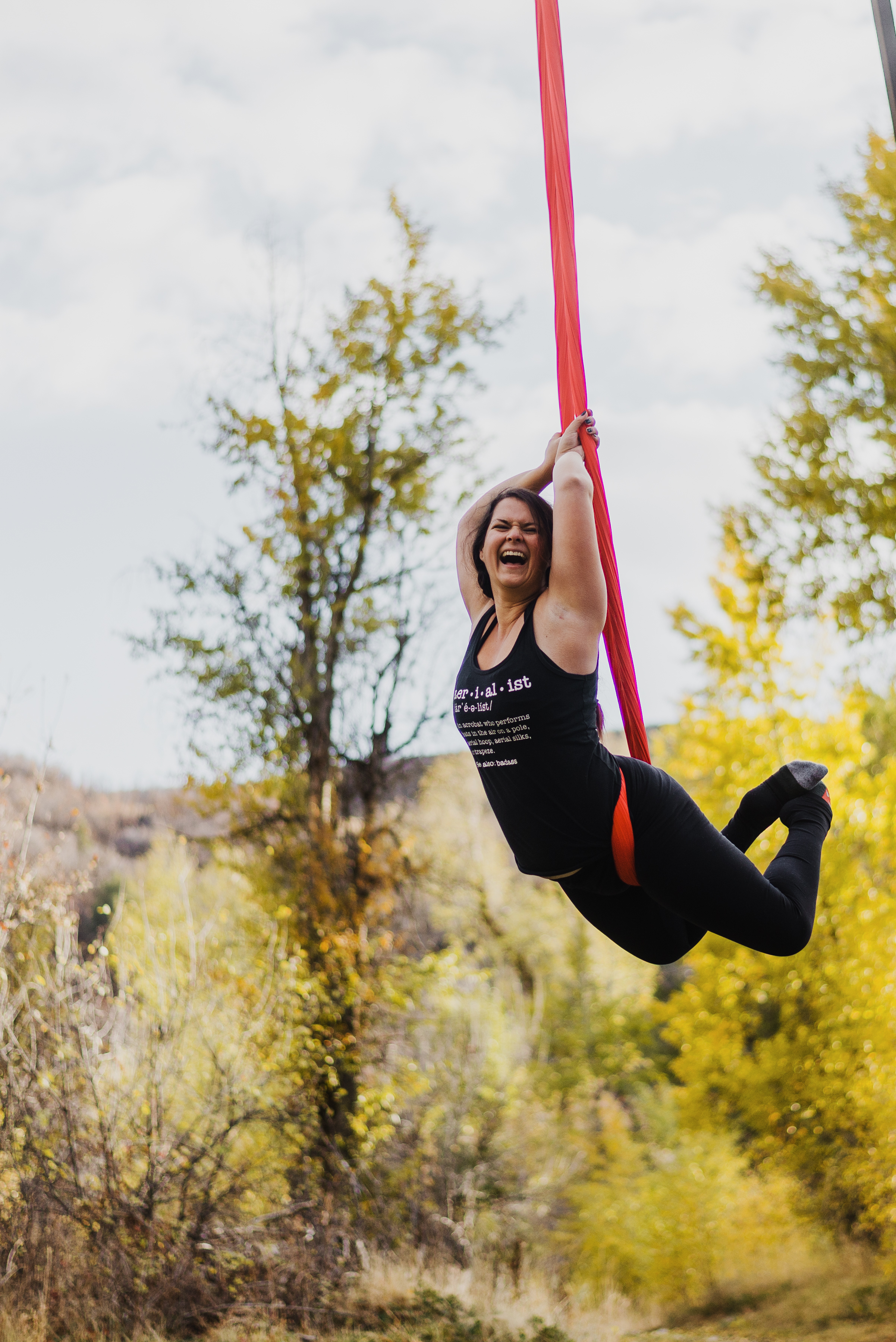 Aerialist